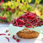 Wellhealthorganic.Com: Red Chilli You Should Know About Red Chilli, Uses, Benefits & Side-Effects- Girlsdiariez.com
